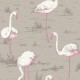 Papel pintado Cole & Son The Contemporary Selection Flamingos 66-6042
