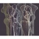 Mural Wall&Decò 2021 String Pull WDTR2102