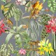 Papel Pintado Coordonné Brazil Parrots 9900006