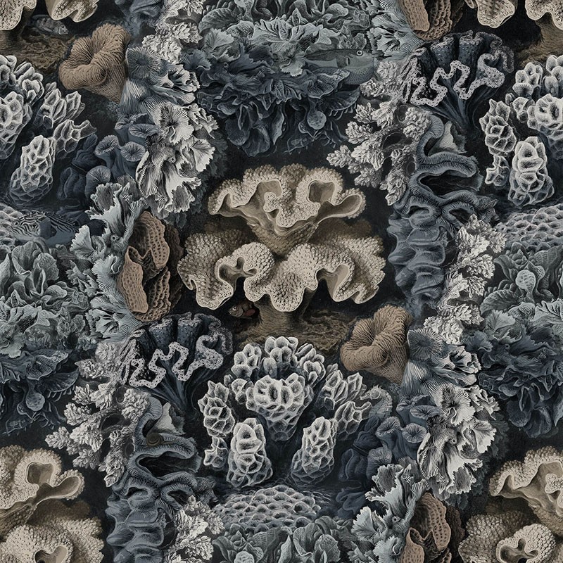 Papel pintado Rebel Walls Oddity  R17483