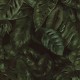 Papel pintado Rebel Walls Oddity  R17441