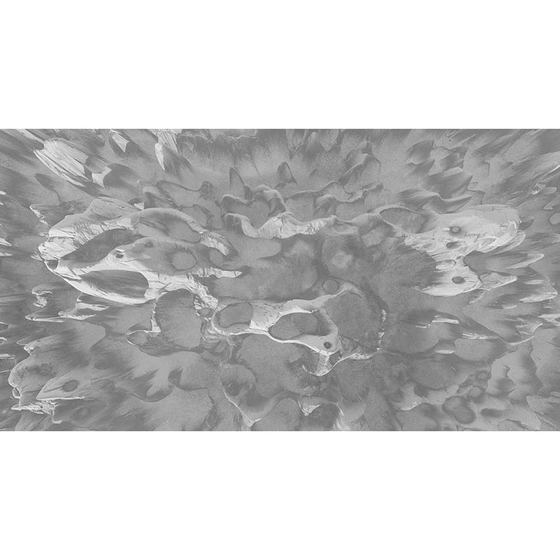 Mural Muance Collection 3 Amber Coral on the Wall MU13096