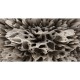 Mural Muance Collection 3 Amber Coral on the Wall MU13095