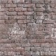 Papel Pintado Colowall Funny Walls IV 249-1924