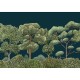 Mural Decorativo Coordonné Random Kids Green Forest 9700093