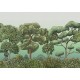 Mural Decorativo Coordonné Random Kids Green Forest 9700092