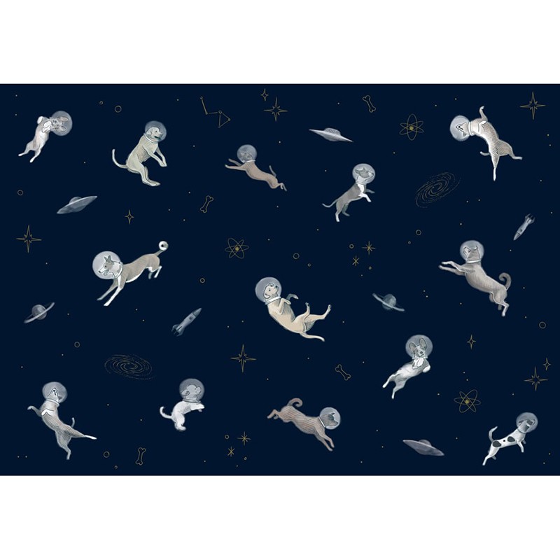 Mural Decorativo Coordonné Random Kids Doggy Gravity 9700083