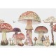 Mural Decorativo Coordonné Random Kids Sweet Forest 9700011