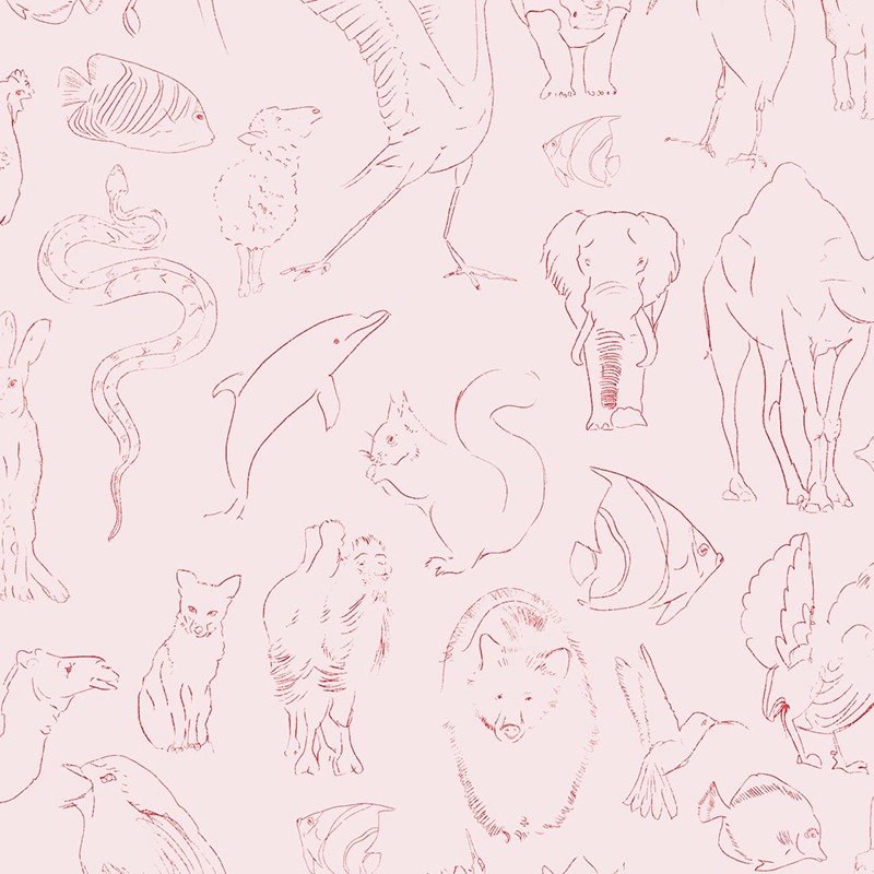 Papel Pintado Coordonné Random Kids Zoology Chalk 9700181