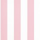 Signature Stripe Library de Ralph Lauren PRL026/16