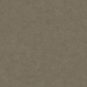 Leathers Galuchat LEAT 8716 94 09 Papel Pintado