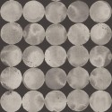 Lunar Craters A00115 Papel Pintado Geo Coordonné