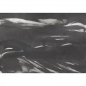 Marine Xray A00144 Mural Geo Coordonné