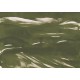 Mural Decorativo Coordonné Geo Marine Xray A00141