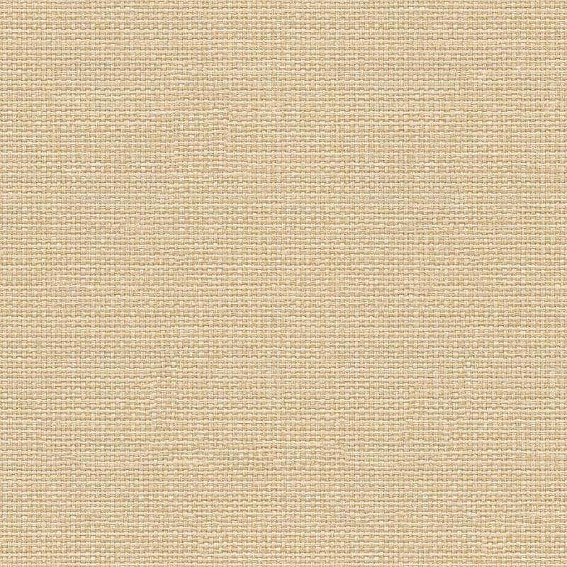Papel pintado Coordonné Raffias+ 9800061