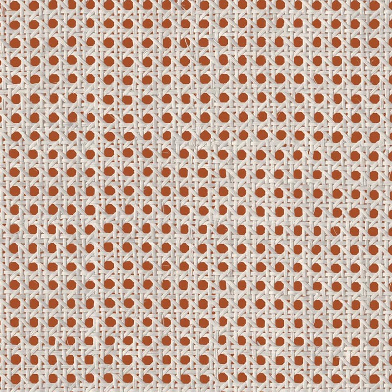 Papel pintado Coordonné Raffias+ 9800004