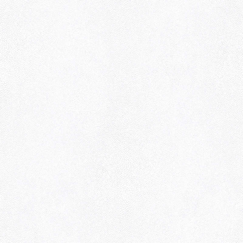 Papel pintado Galerie Natural FX G67469