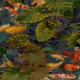 Papel pintado Saint Honoré Travel Walls Koi 186-2254
