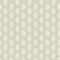 Enchanted Feather Parede A00048 Papel pintado Coordonné