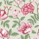 Papel pintado Coordonné Enchanted Morning Garden A00039