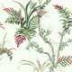 Papel pintado Coordonné Enchanted Wild Ferns A00021