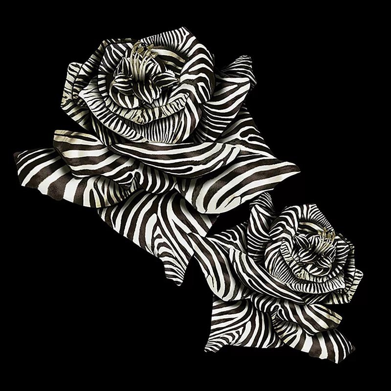 Papel pintado Roberto Cavalli nº 8 Zebra Strips Rose RC19116
