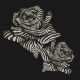 Papel pintado Roberto Cavalli nº 8 Zebra Strips Rose RC19115