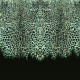 Papel pintado Roberto Cavalli nº 8 Ligh Blue Leopard RC19114