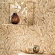 Papel pintado Casadeco Vienne Valse VIEN87372731