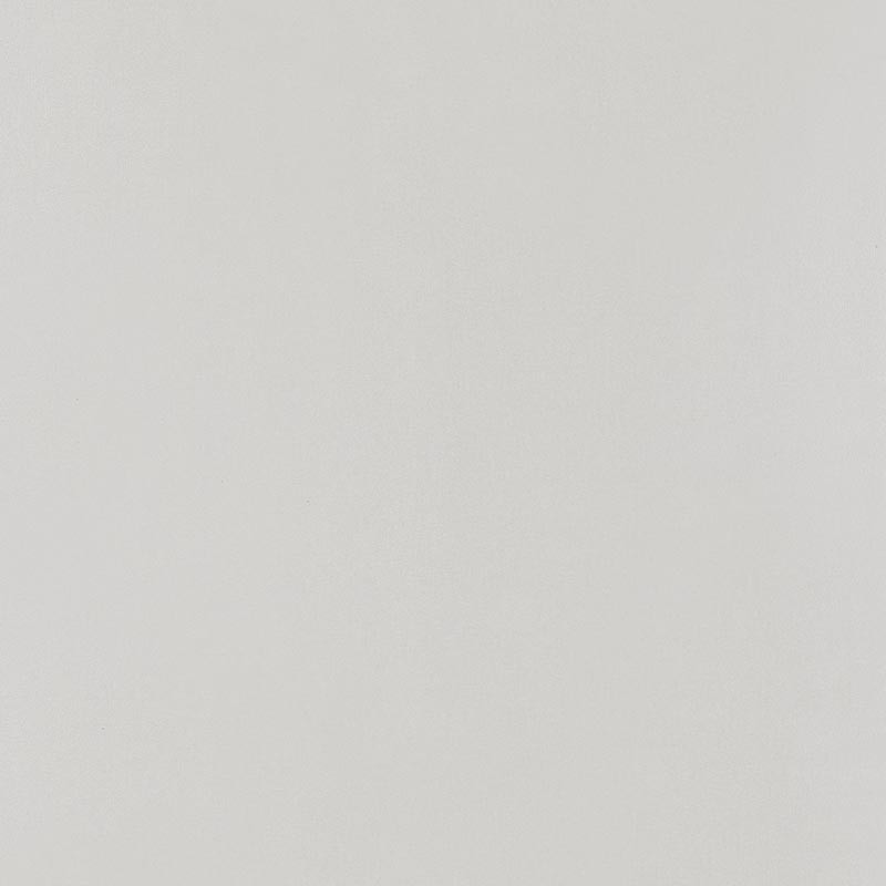 Papel pintado Caselio Young & Free Uni YNF64529162