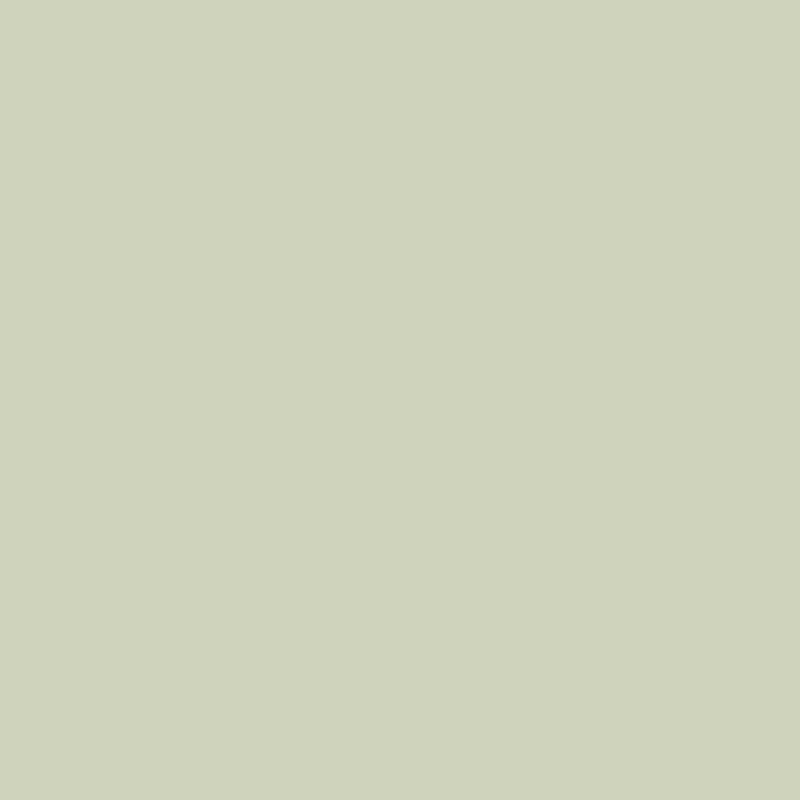 Papel pintado Caselio Young & Free Uni YNF64527210