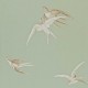 Papel pintado One Sixty Swallows de Sanderson DVIWSW102