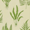 One Sixty Woodland DAPGWO102 Sanderson Papel pintado