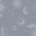 Dreamland Planetarium R18023 Rebel Walls