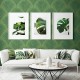 Papel pintado Wallquest del Catálogo Grasslands GL20004