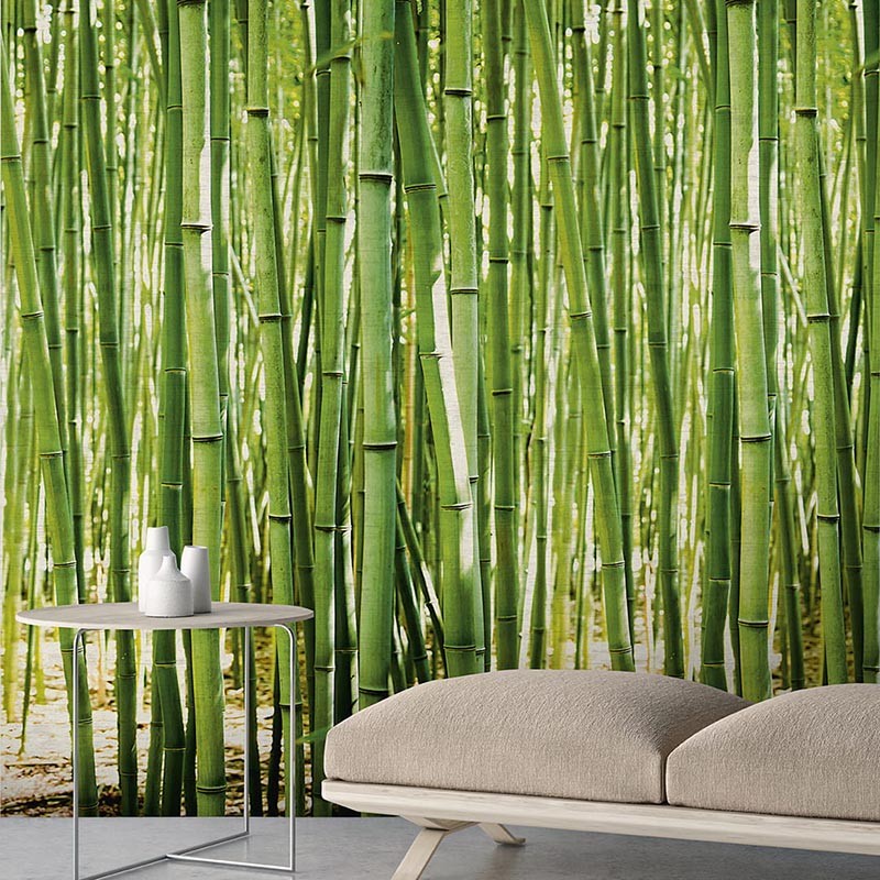 Mural pdwall Nature Wallpaper 01A36901