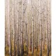 Mural pdwall Nature Wallpaper 01A42601