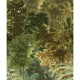 Mural pdwall Nature Wallpaper Bosque 01A51801