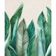 Mural pdwall Nature Wallpaper Hojas Banano 01A39501