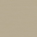 Dazzling Dimensions II Shining Sisal Y6200906 Antonina Vella