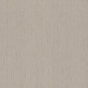 Dazzling Dimensions II Natural Texture Y6201305 Antonina Vella
