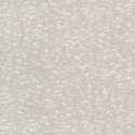 Dazzling Dimensions II Weathered Cypress DD3754 Antonina Vella