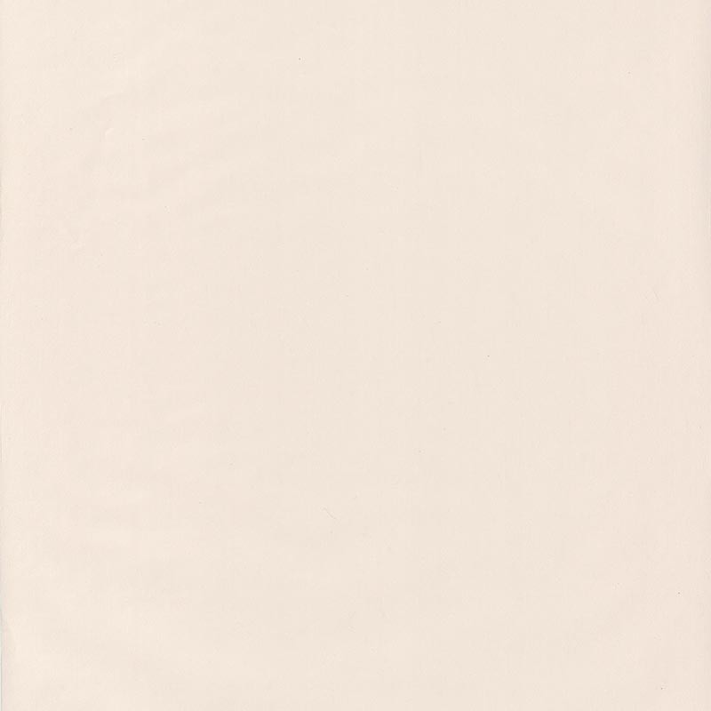 Papel Pintado Caselio Autour du Monde ADM69861303