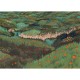 Mural Decorativo Tres Tintas Barcino Rossinyol M4201-1