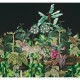 Mural Iberostil Checking out Nature Nocturna TD4107