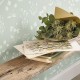 Papel pintado Herbier de Gardens Casadeco GADN87627045
