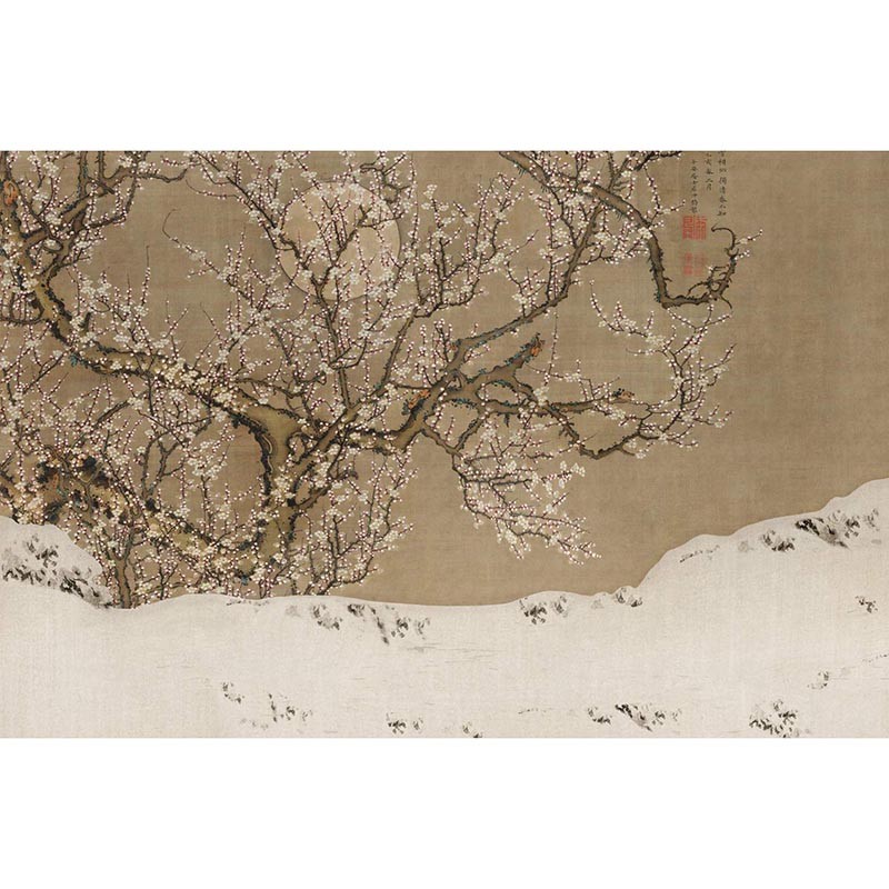 Panorama Sakura V118-3 Papel pintado ICH