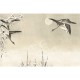 Panorama Oriental Ducks V103-1 Papel pintado ICH