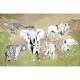Panorama Wildlife V102-1 Papel pintado ICH