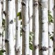 Papel pintado pdwall Botanica Wallpaper Arboles 01j21517